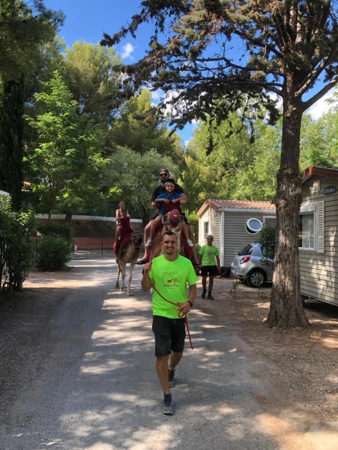 Camping Marina Plage Vitrolles  Kültér fotó